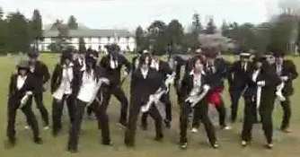 1.gif