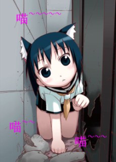 113.jpg