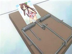 162.jpg