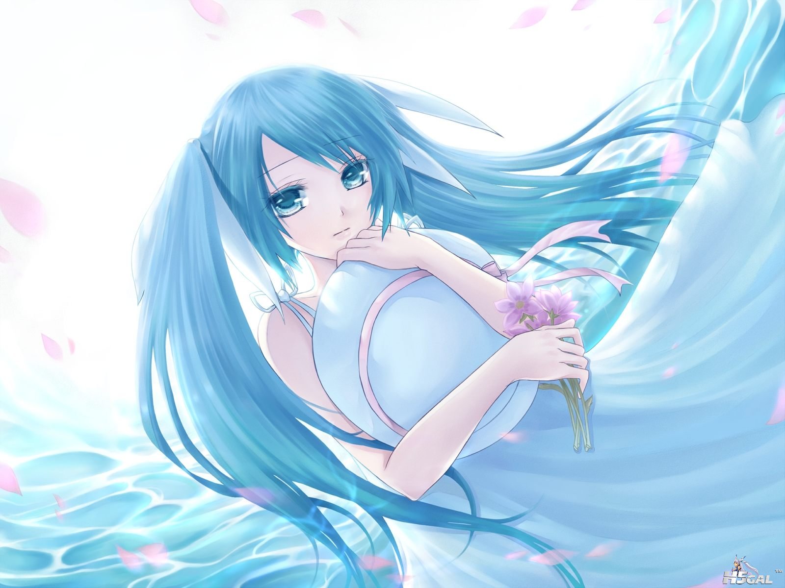 Konachan_com - 129243 hatsune_miku kurone_kuroneko vocaloid.JPG