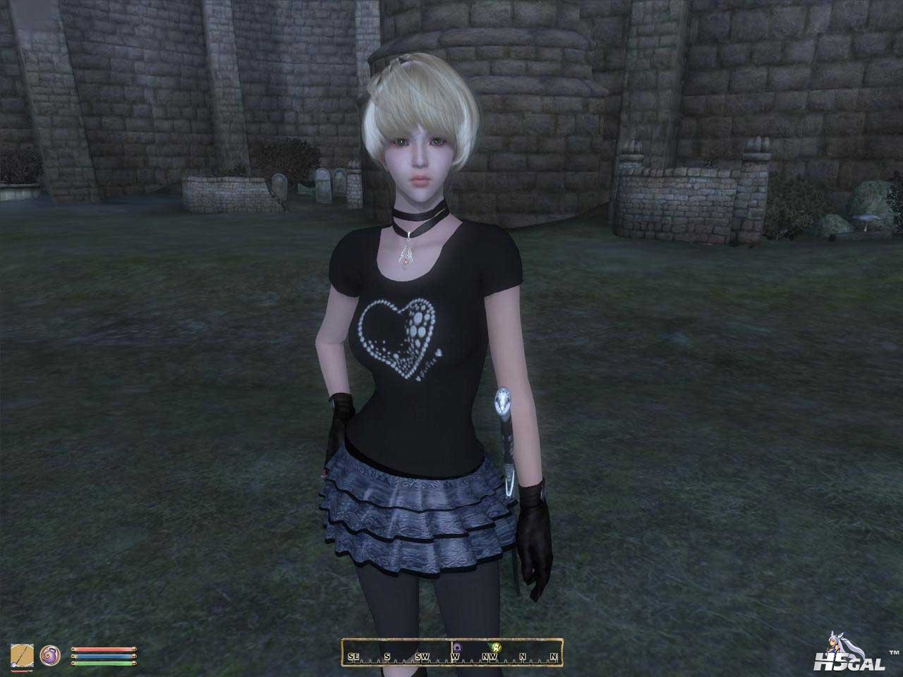 Oblivion 2012-04-22 19-42-07-75 副本.jpg