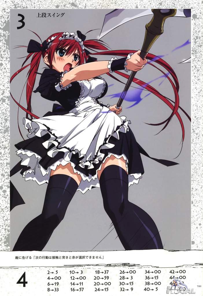moe 2730 airi queen\'s_blade takamura_kazuhiro thighhighs.jpg