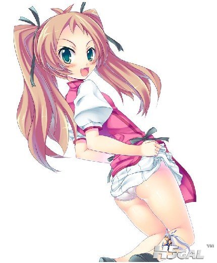 笨蛋·测验·召唤兽.jpg