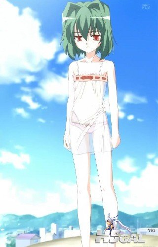 守护猫娘绯鞠.jpg