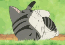 d6ca7bcb0a46f21f6cce1911f6246b600d33aefe.gif