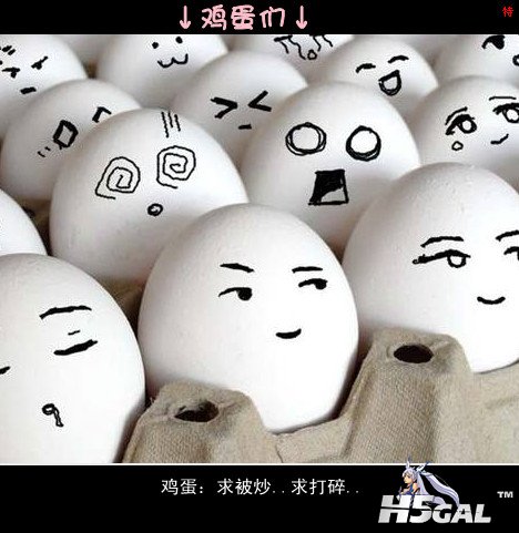 鸡蛋.jpg