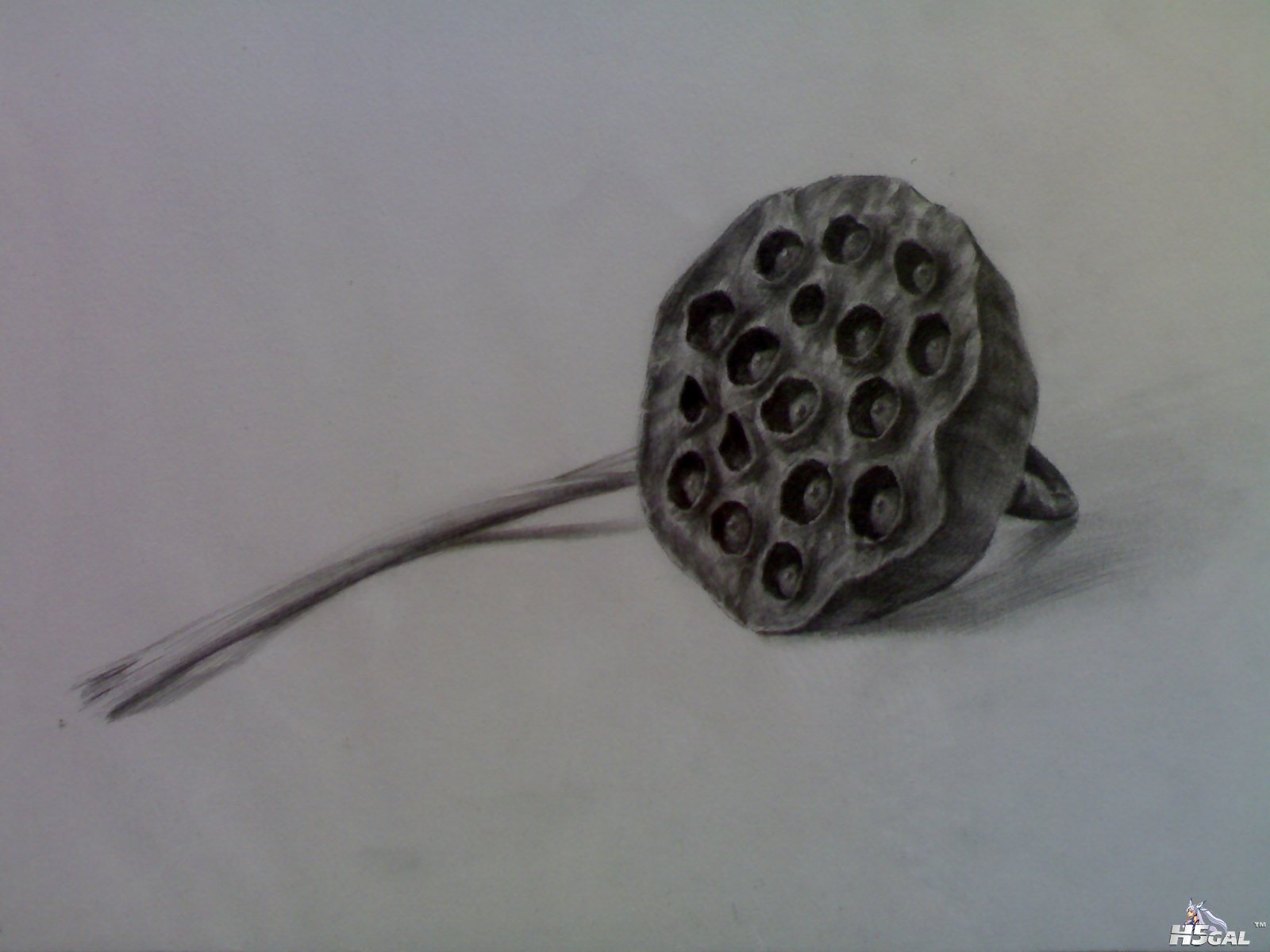 20110513826.jpg