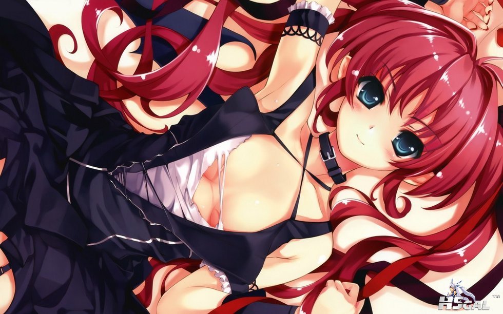2690378_980x1200_0.jpg
