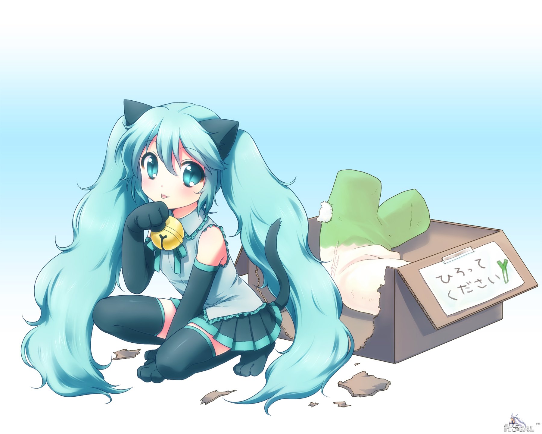 初音图片 (367).jpg