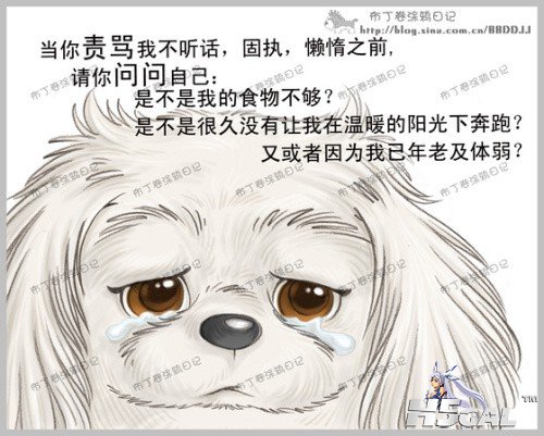 142814t7tnhtt3g8770zp3.jpg