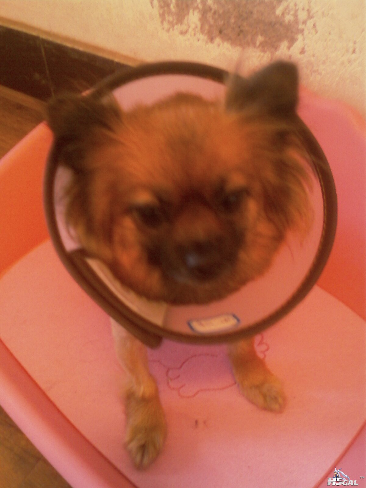 IMAG0211.jpg