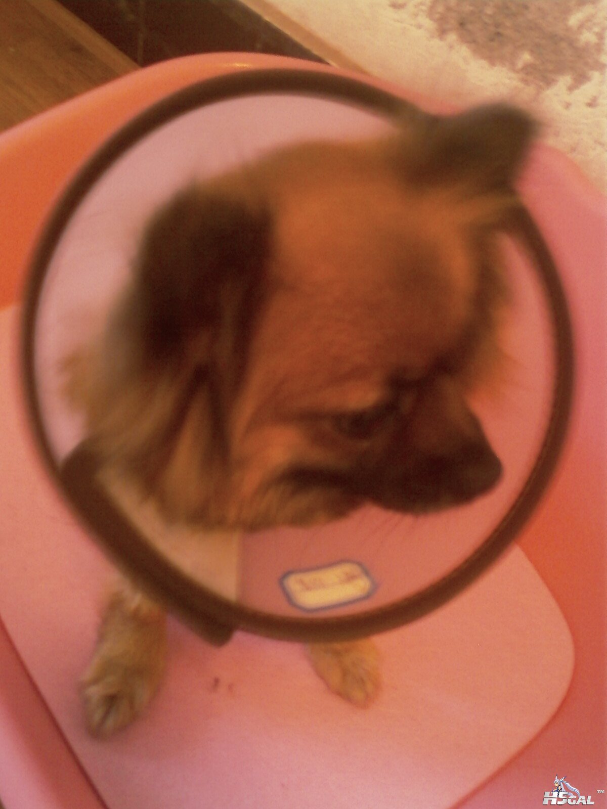 IMAG0212.jpg