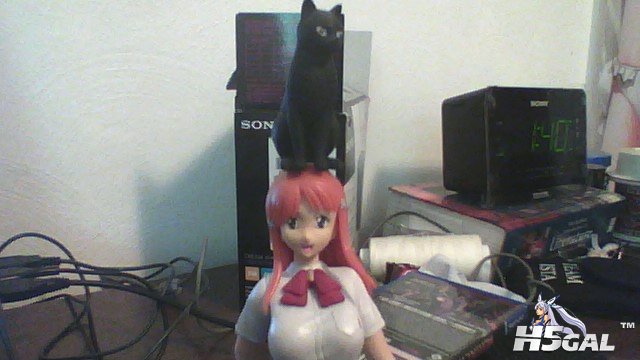 2012-05-25-113714.jpg