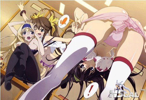 Infinite Stratos.jpg