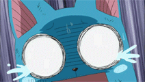 5.gif