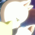 40.gif