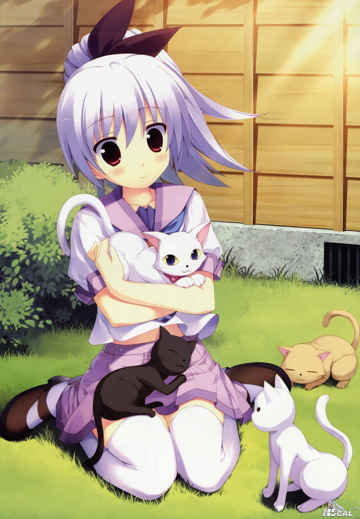 142103cc2d856g6ppmd7de.jpg