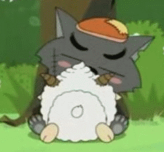 11.gif