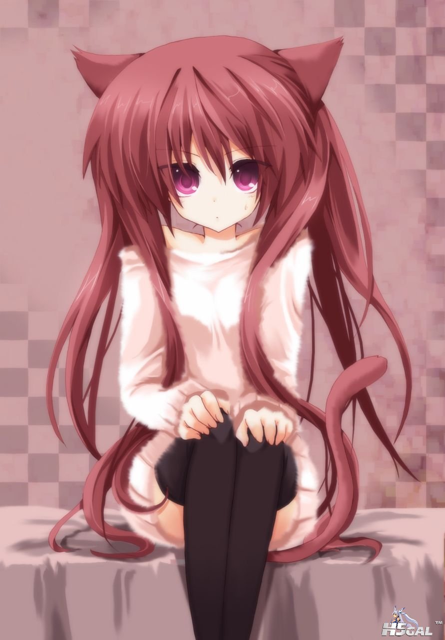 1e511264bff6758d8cb10d71.jpg