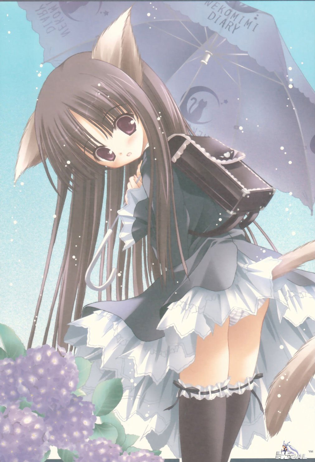 3d3b884feefea54ab2de053f.jpg