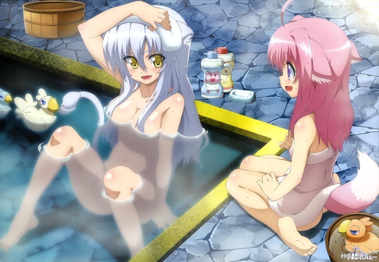 025537ff4mf9jfocgfy1jp.jpg