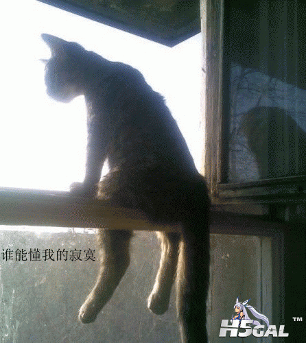 2.gif