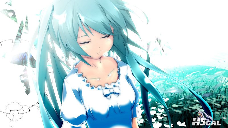 MIKU_000248_副本.jpg