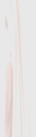 抖S.gif