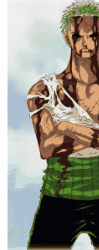索隆.gif