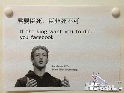 62715184jw1dts2dl05kyj.jpg