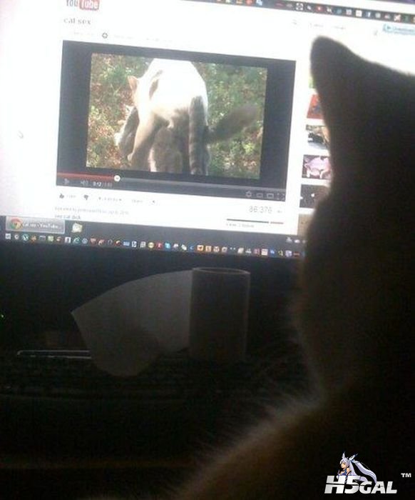20120428102629971.jpg