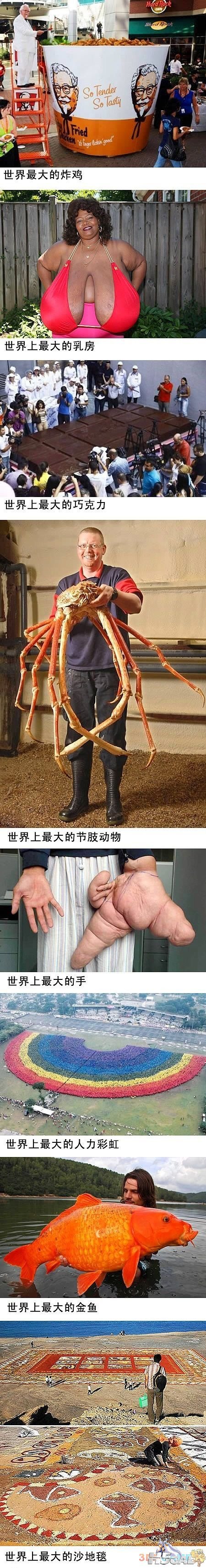 20120625111231889.jpg