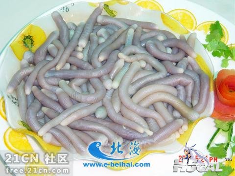 bd315c6034a85edf24343f8e49540923dc5475e7.jpg
