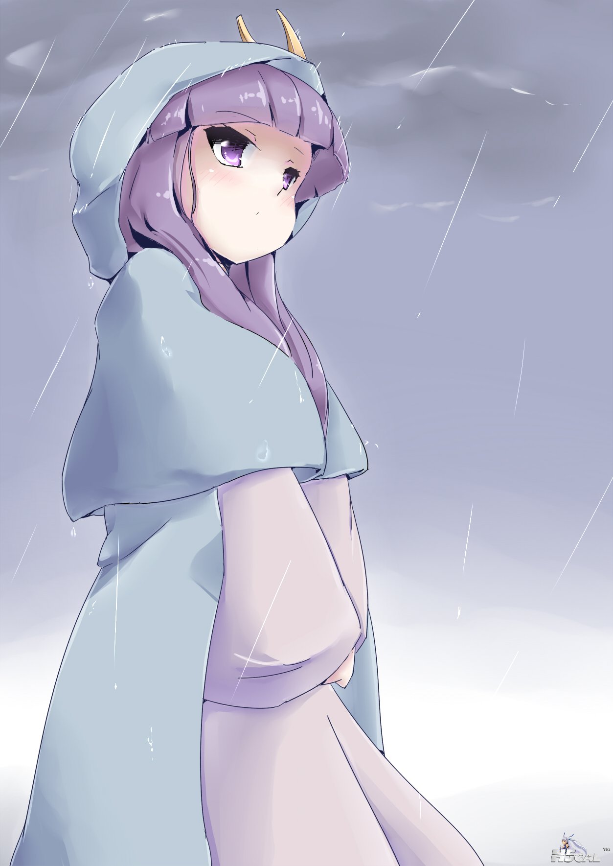 5df5d7fc49d4f0b89b2c4bb2dad2e2e5.jpg