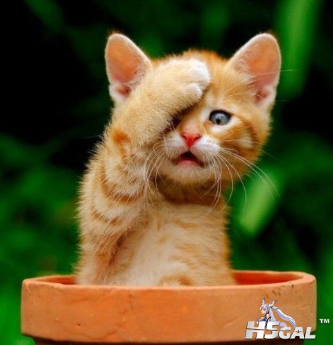 M`@)QMR5AD6F~F]YMU9PND1.jpg