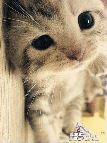 YJ1YM~B{QP`)6S(XY7SED~D.jpg