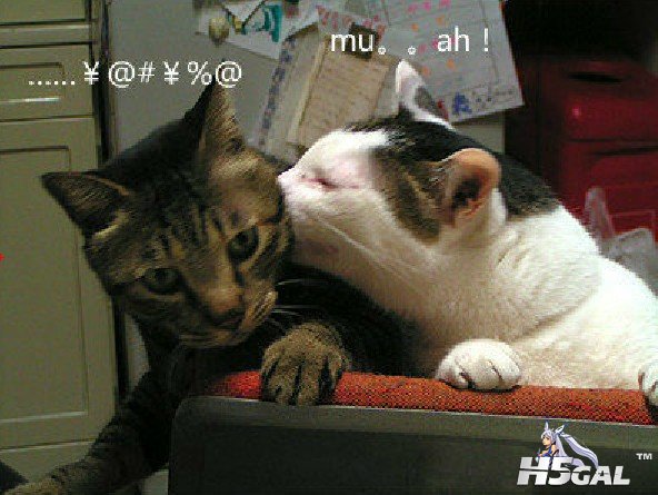 BYLI3TWWM[H2O]Y]%T(I32Y.jpg