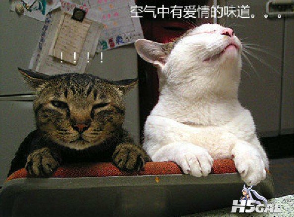 D8K~R)DW[62BA0397OZI%VM.jpg