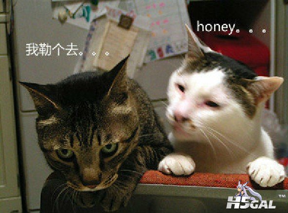 G@8V@A]4JV91G8Q2UKSXMS1.jpg