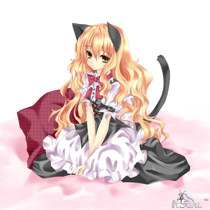 こいにゃり_11924434.jpg