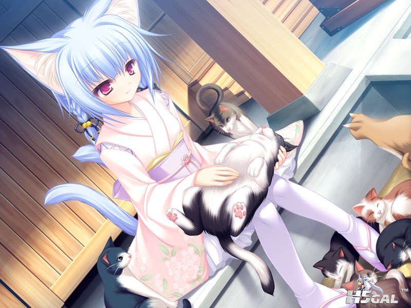 b_hin_06_a.jpg