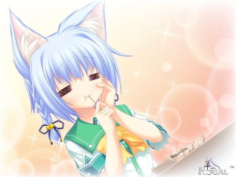 b_hin_04_a.jpg
