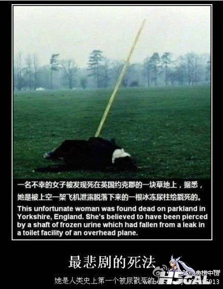 90f6d6a9jw1dt74mg6ujkj.jpg