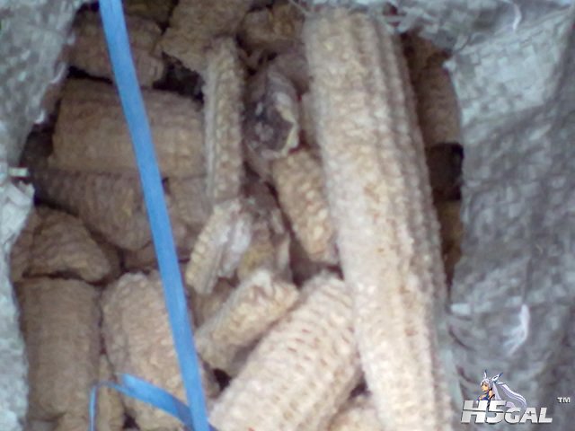 20120501613.jpg