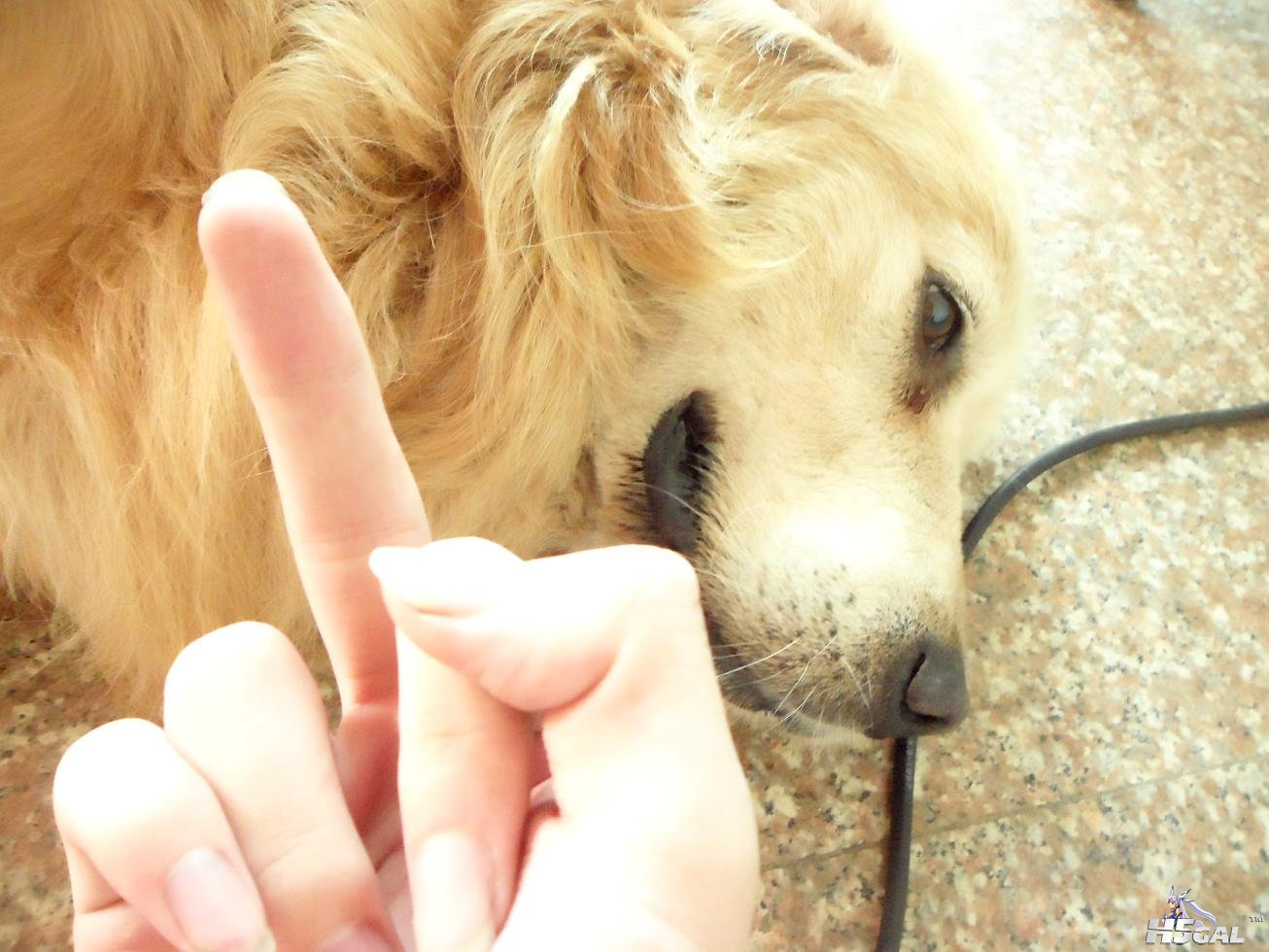 SAM_0725.JPG