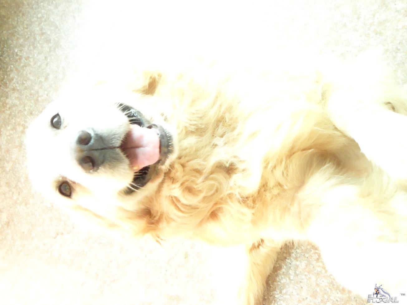 SAM_0728.JPG
