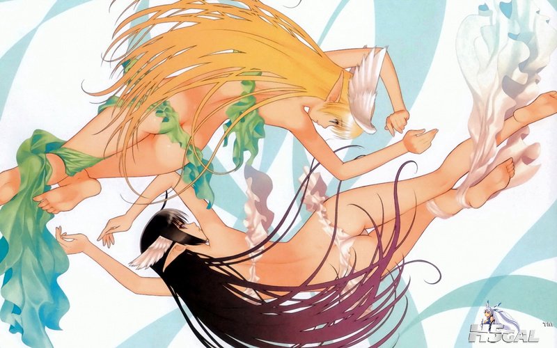 konachan 103813 elwing elwyn shining_wind taka_tony xecty_副本.jpg
