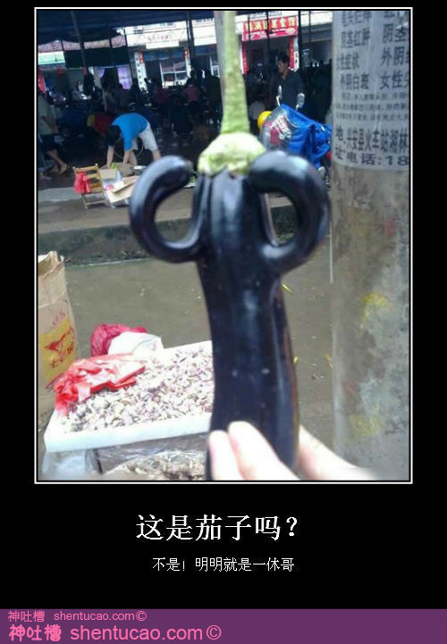 微博.jpg