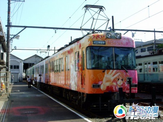 71331149.jpg