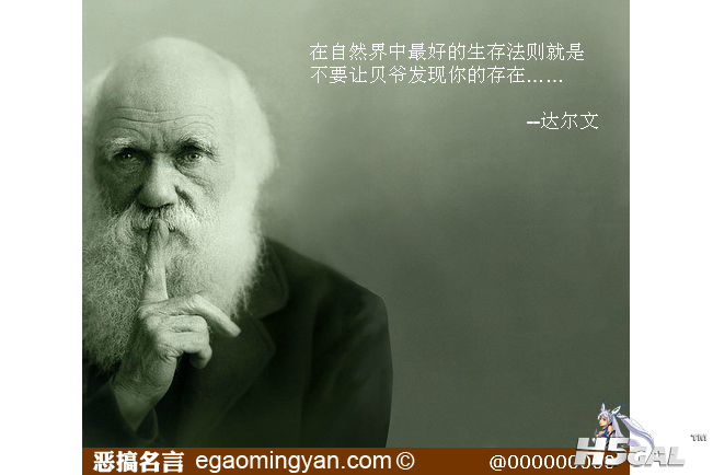 13432925313757653.png